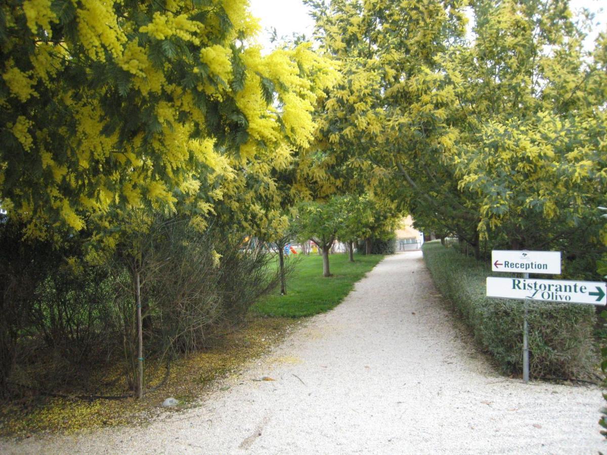 Campastrello Sport Hotel Residence Castagneto Carducci Pokój zdjęcie
